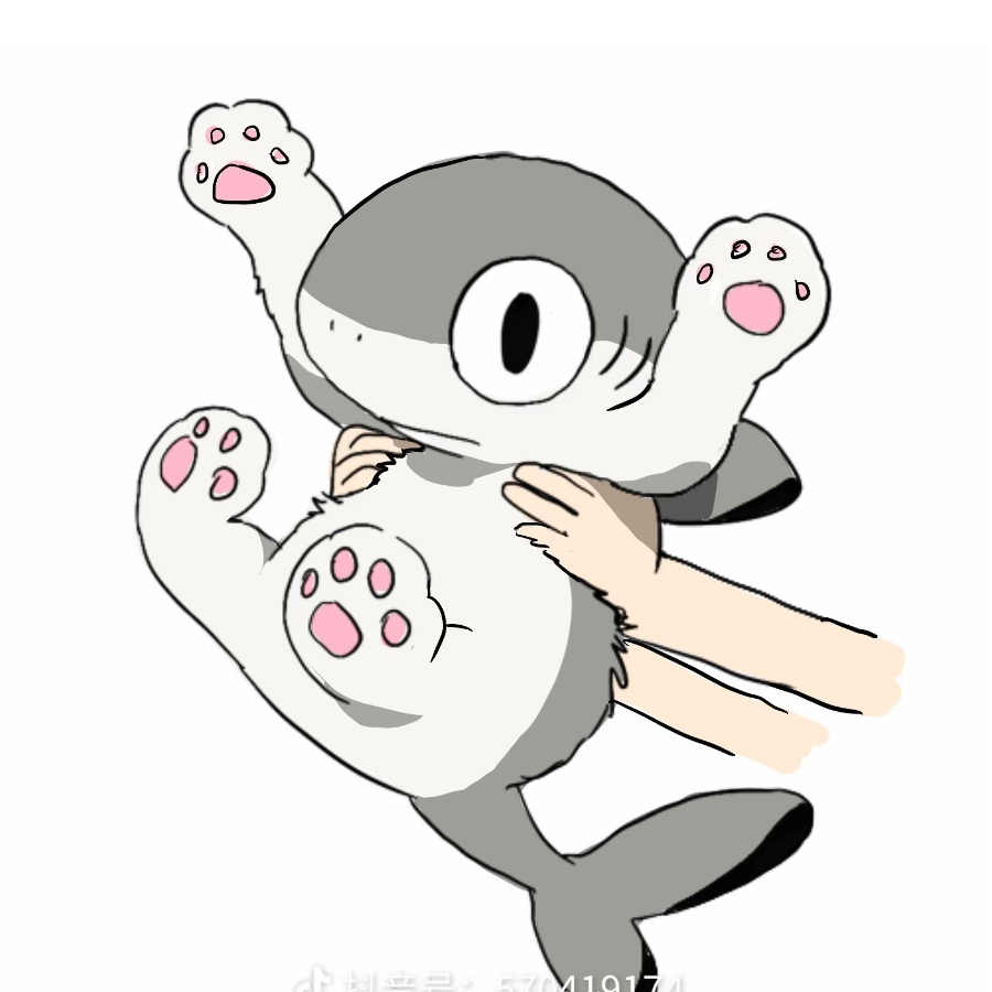 是鲨猫哟～