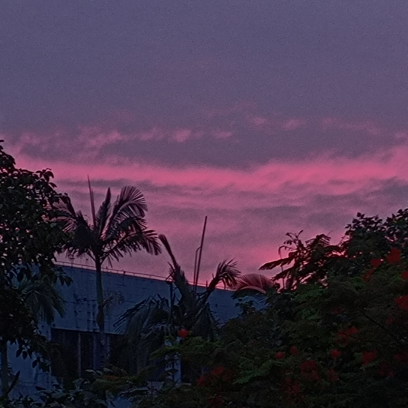 趁着月色浪漫