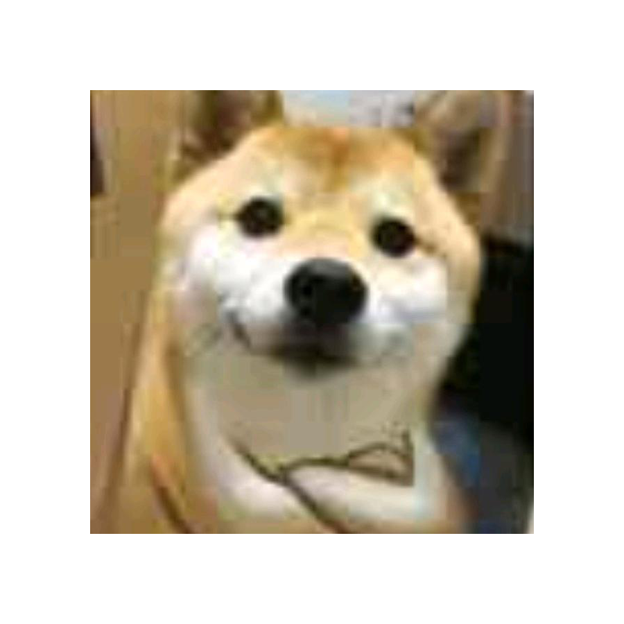 耀杨