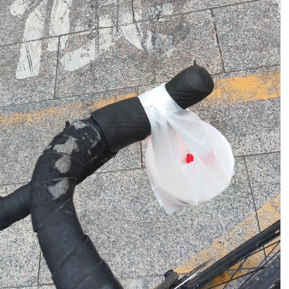 魏氏