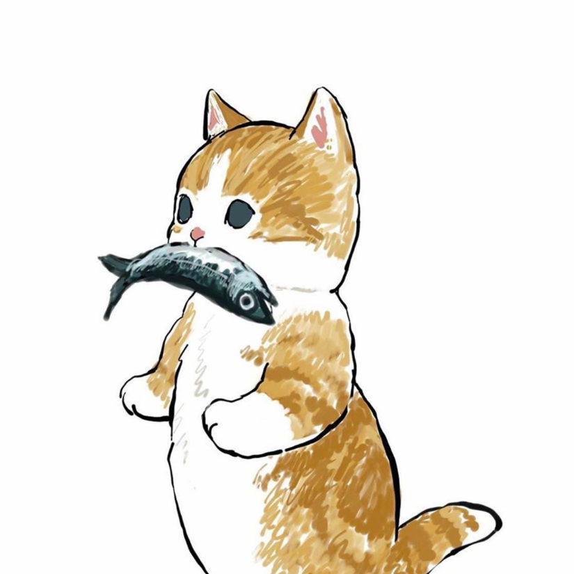 屿心