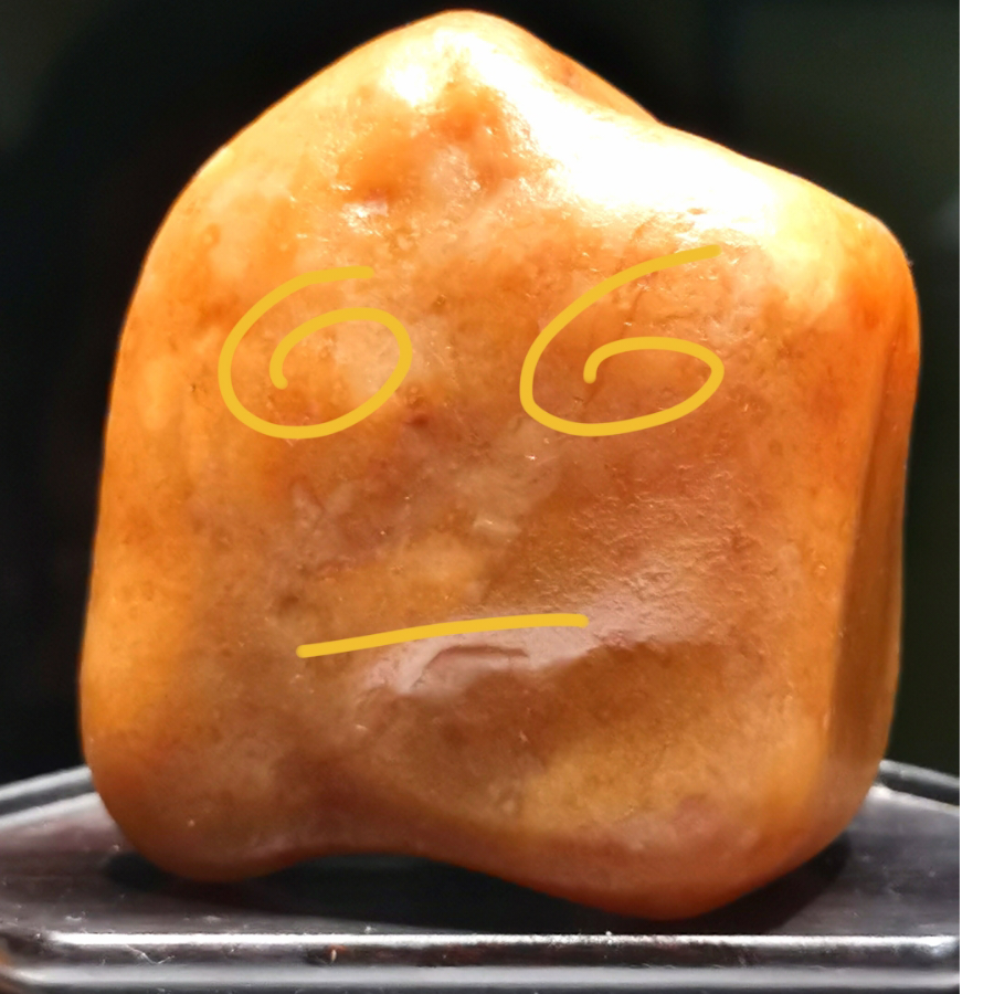 混乱的硅基生物
