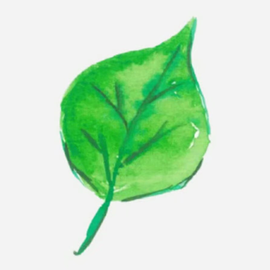 硕