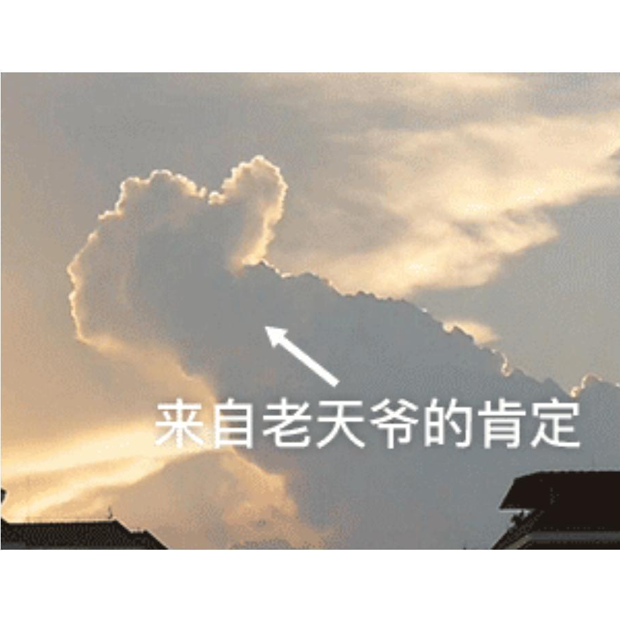 兔兔日常