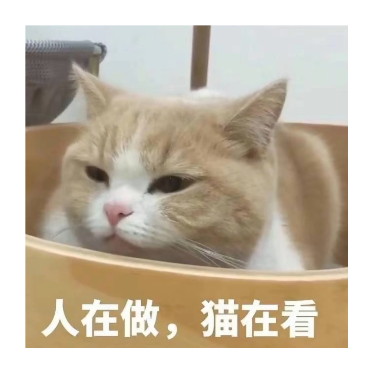 小兔兔子