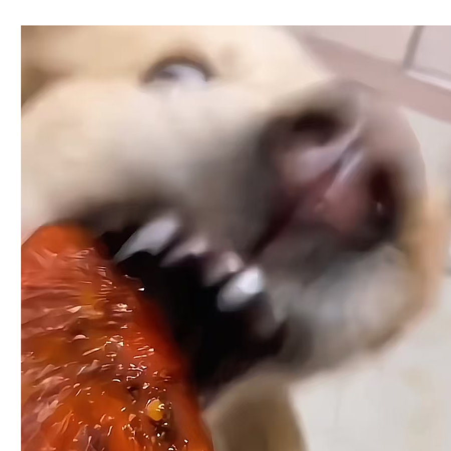 手机用户46382040