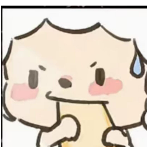 第5天