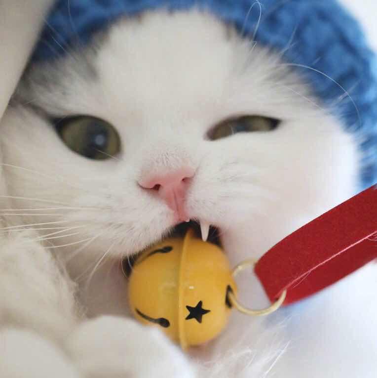 任性