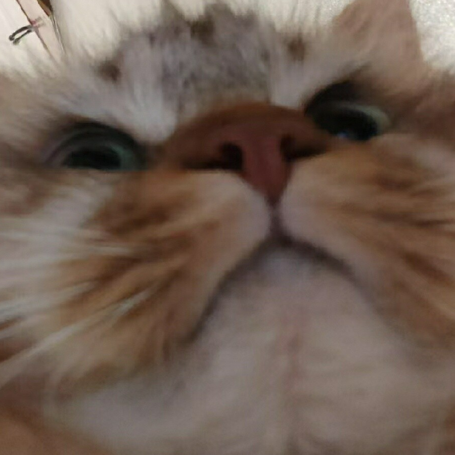 玉米糊