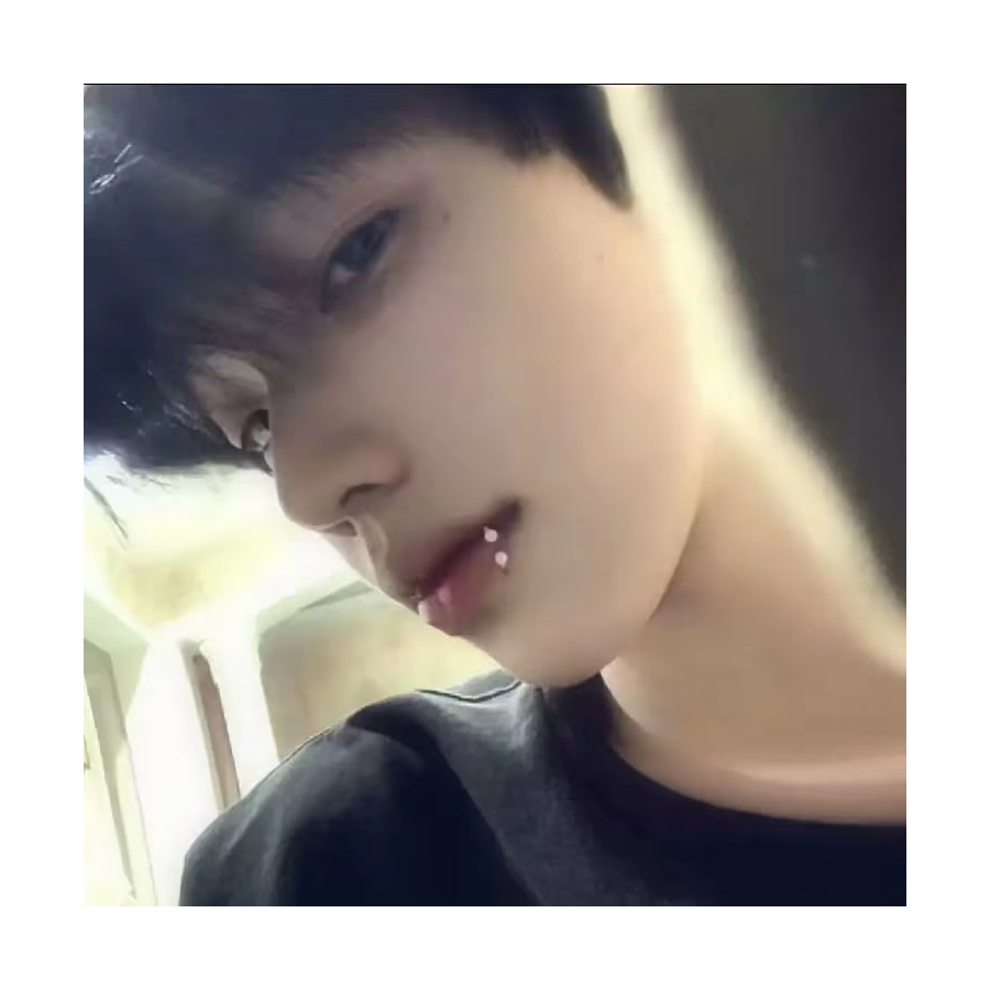 小菜不呆