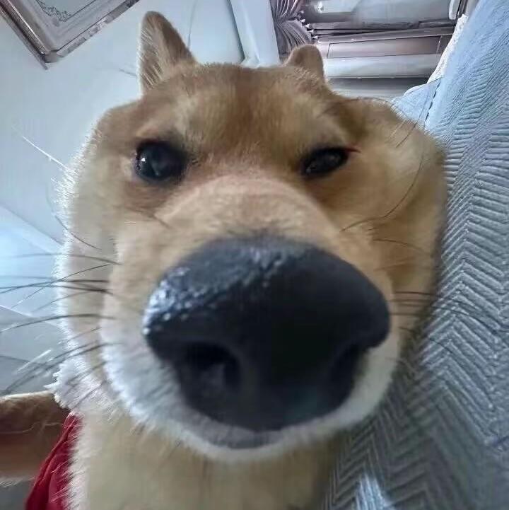昇岳游洋