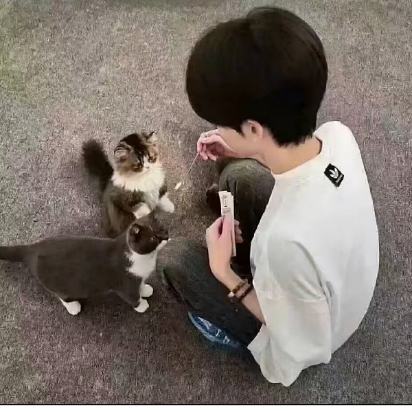 这么说昵
