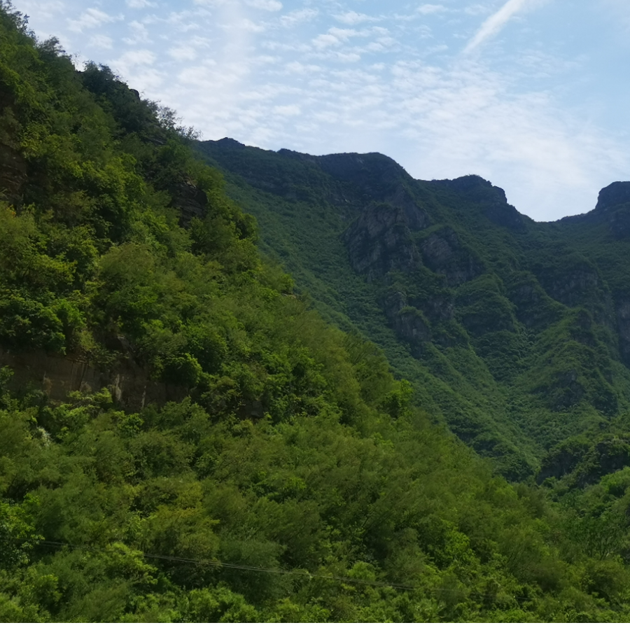两三层