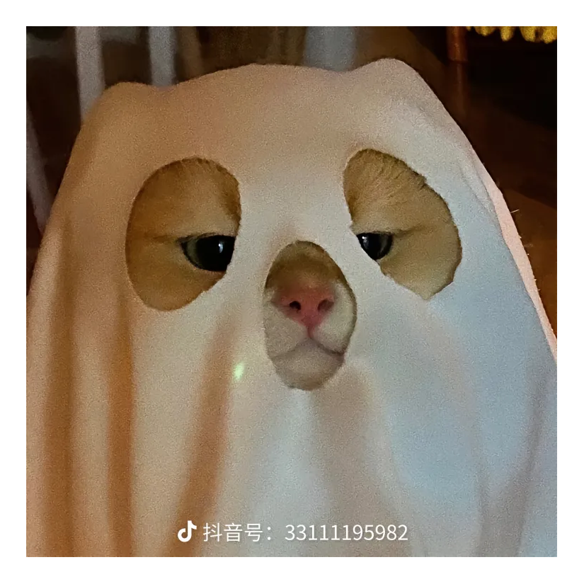 析然