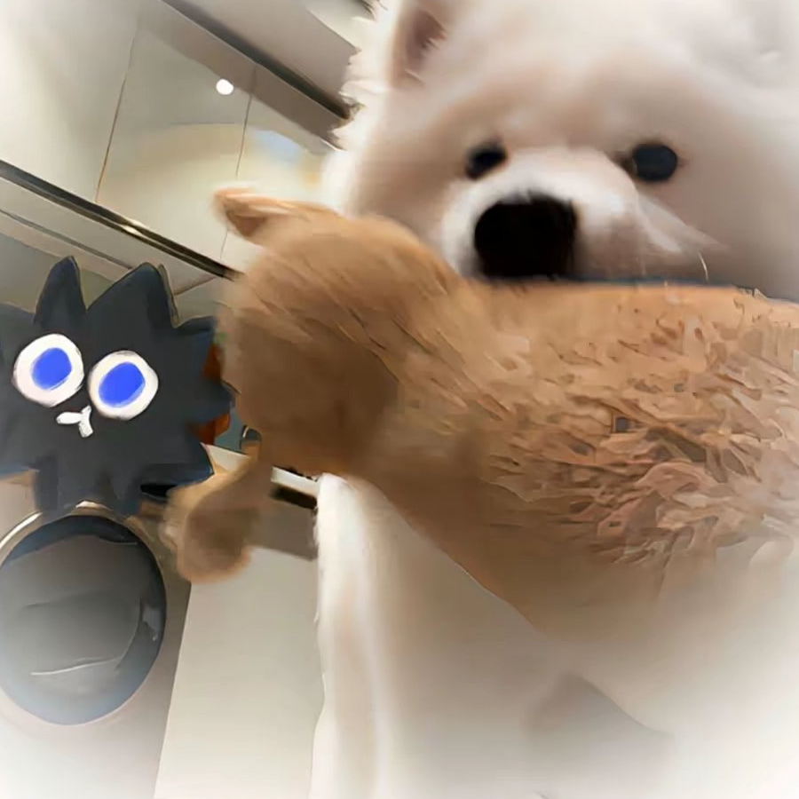 程g