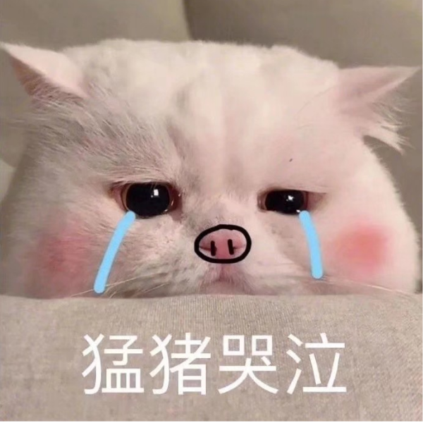 猪猪有蛀牙