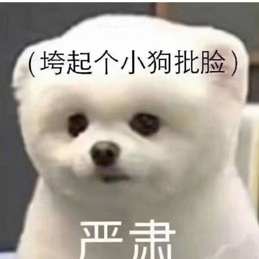 • 夏 季 風 暴 •