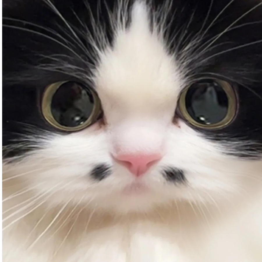 歲安要岁岁平安