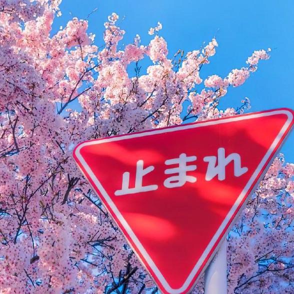 北丘