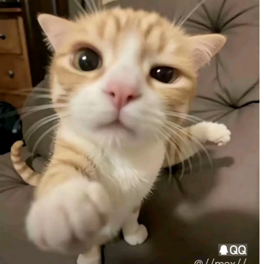 我看上你了