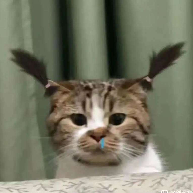咸粽子加白糖