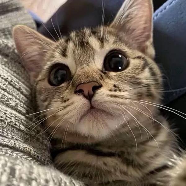。