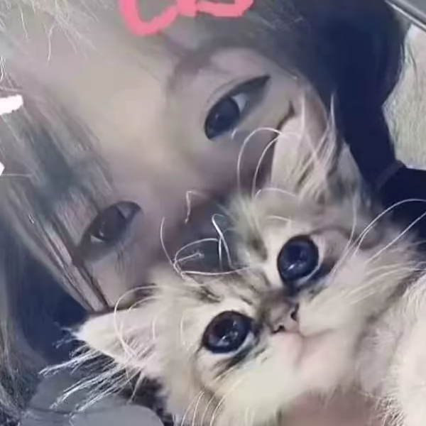 -^椿魚꒦ິ^꒦ິ-^