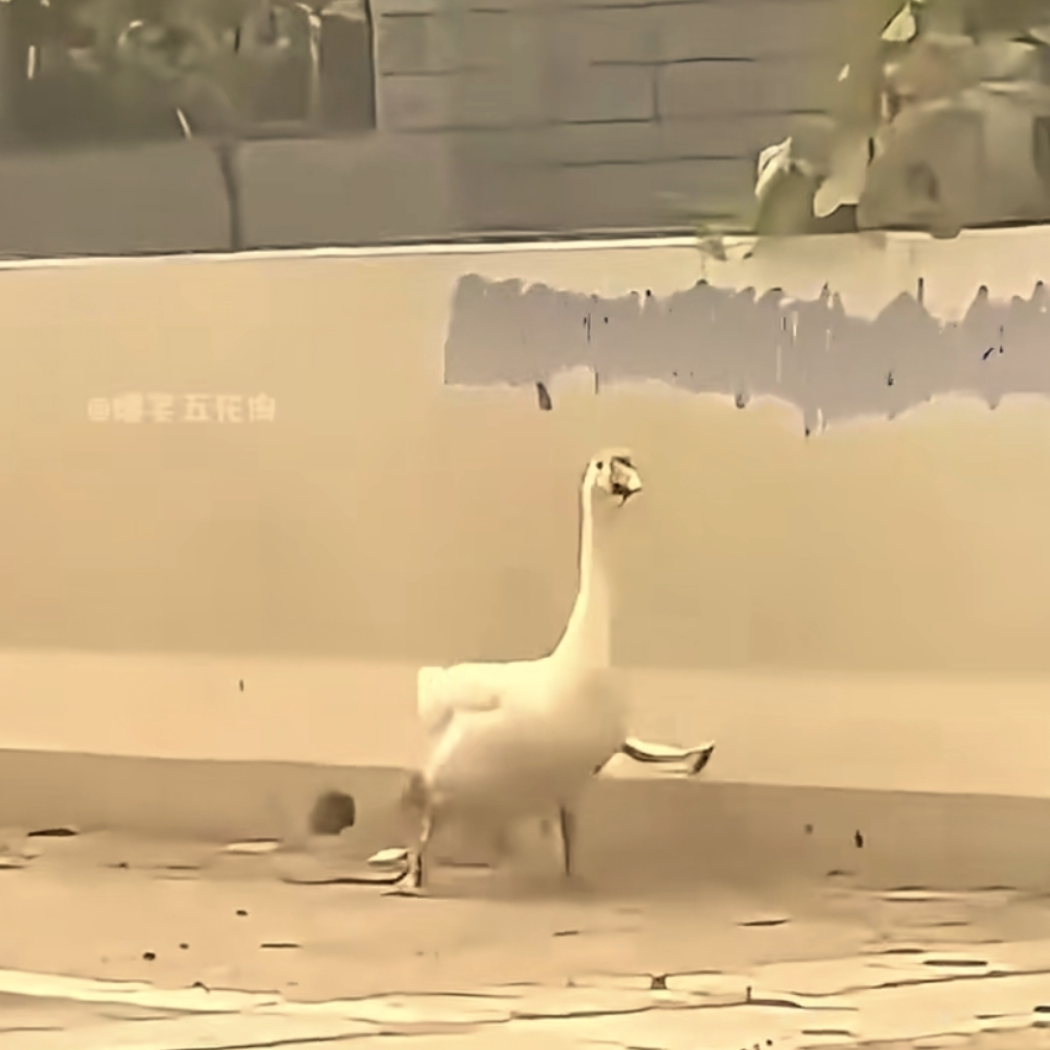 小道名