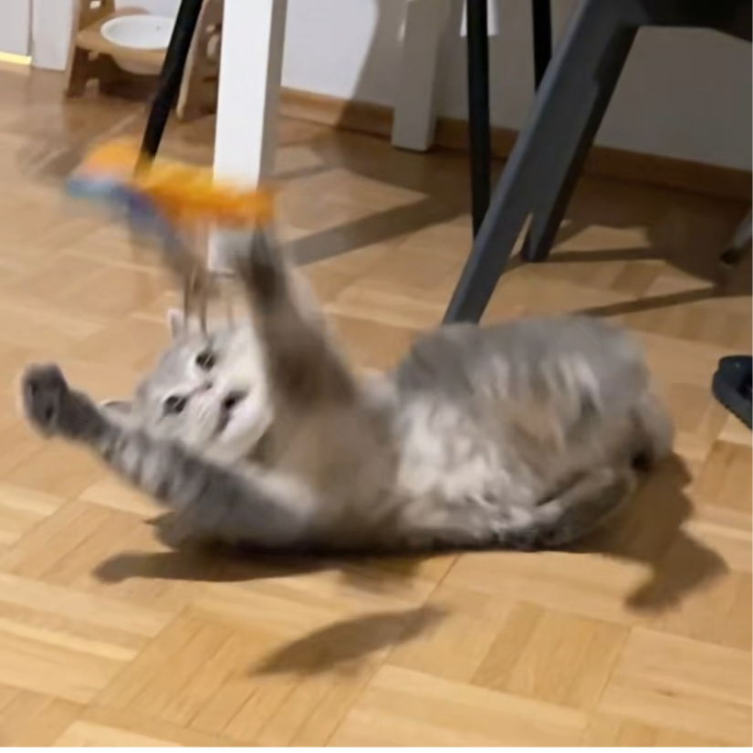 小孩评小孩