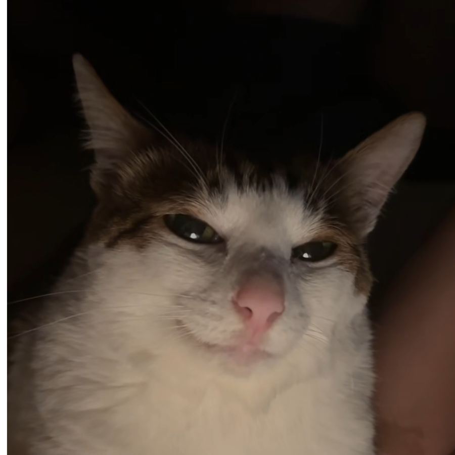 坏人