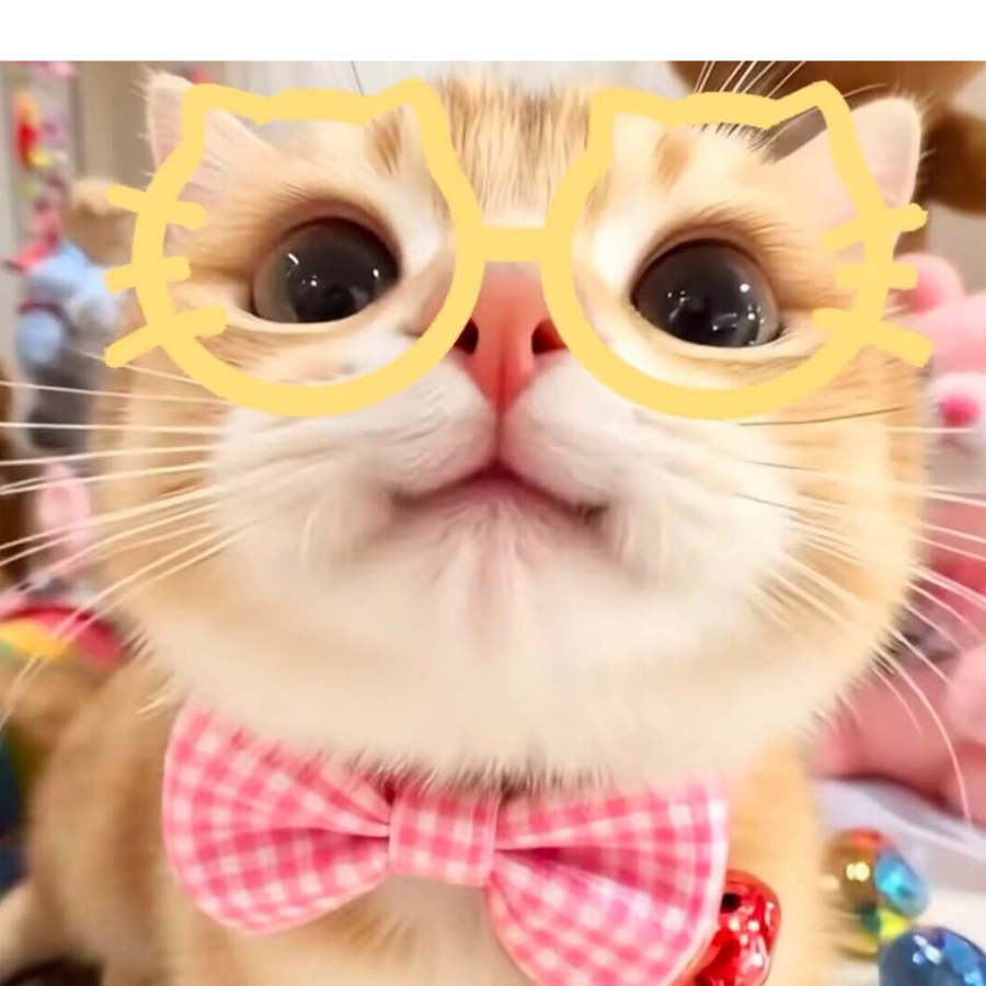 是一个小猫想睡觉