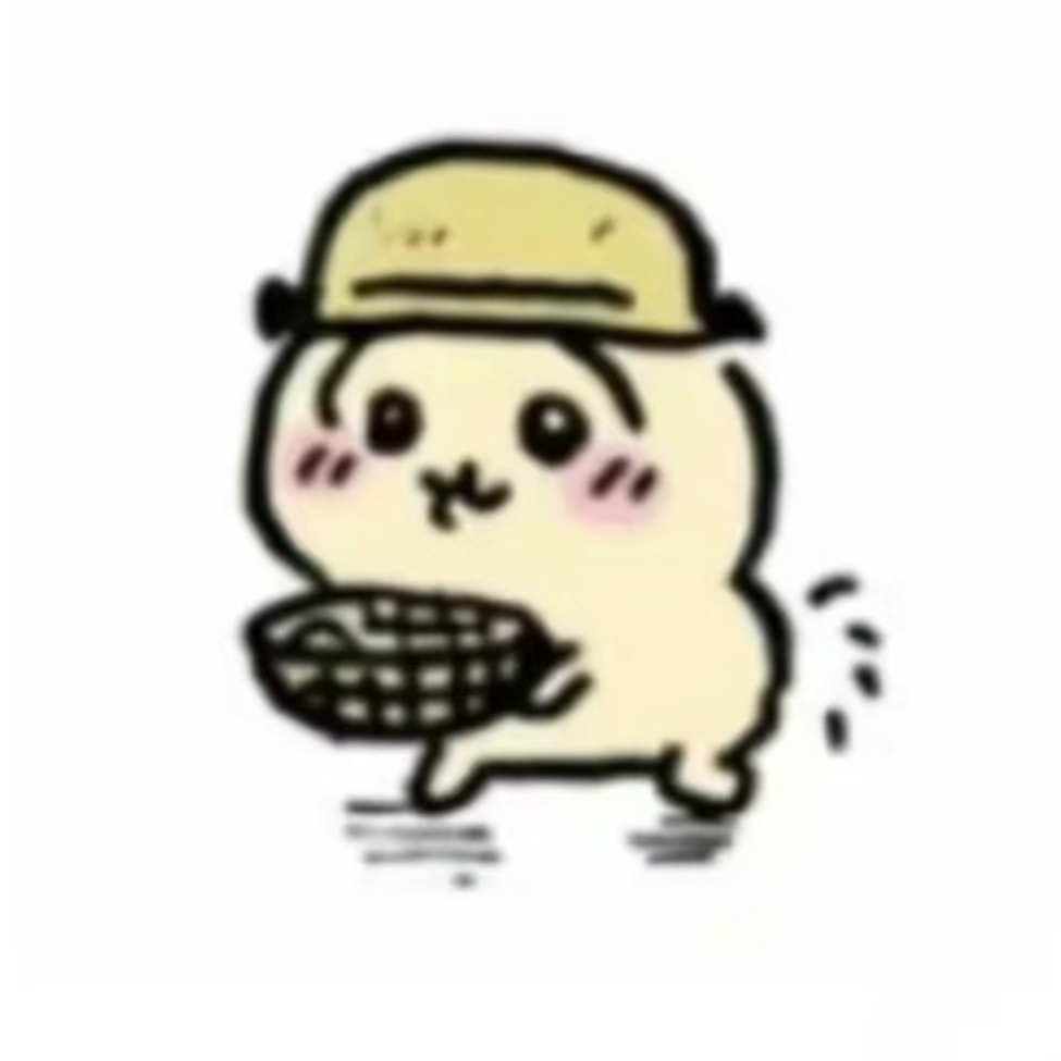 超绝鸡肉面条