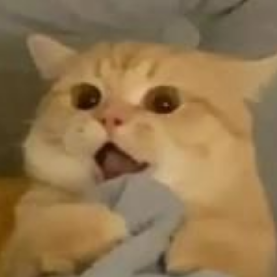 喵