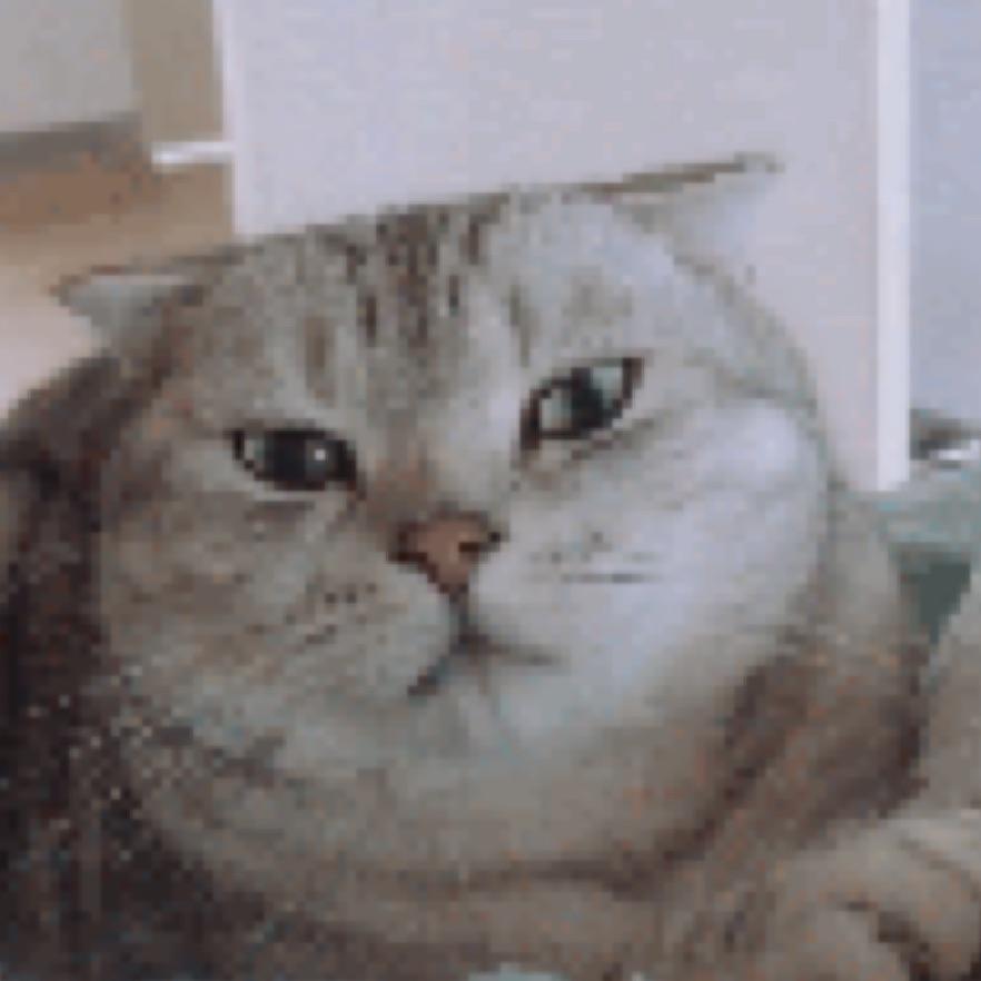 *木*昜亻*乍*雨*林*