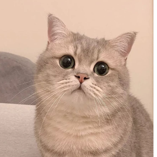 於是