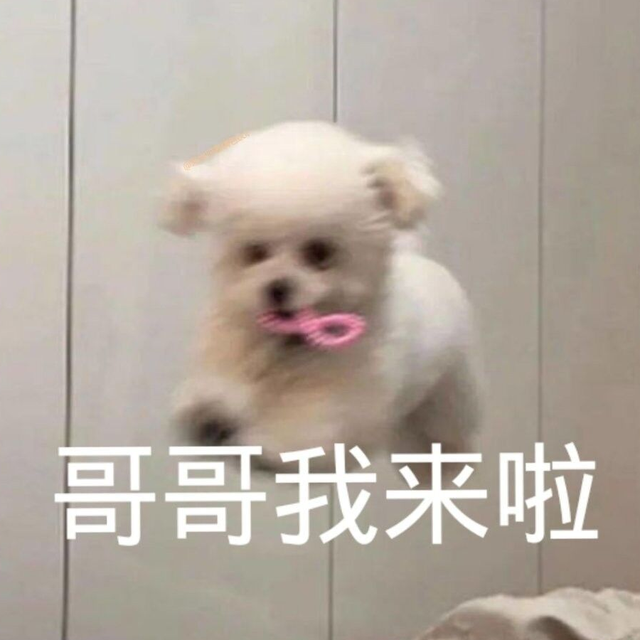 茹宝