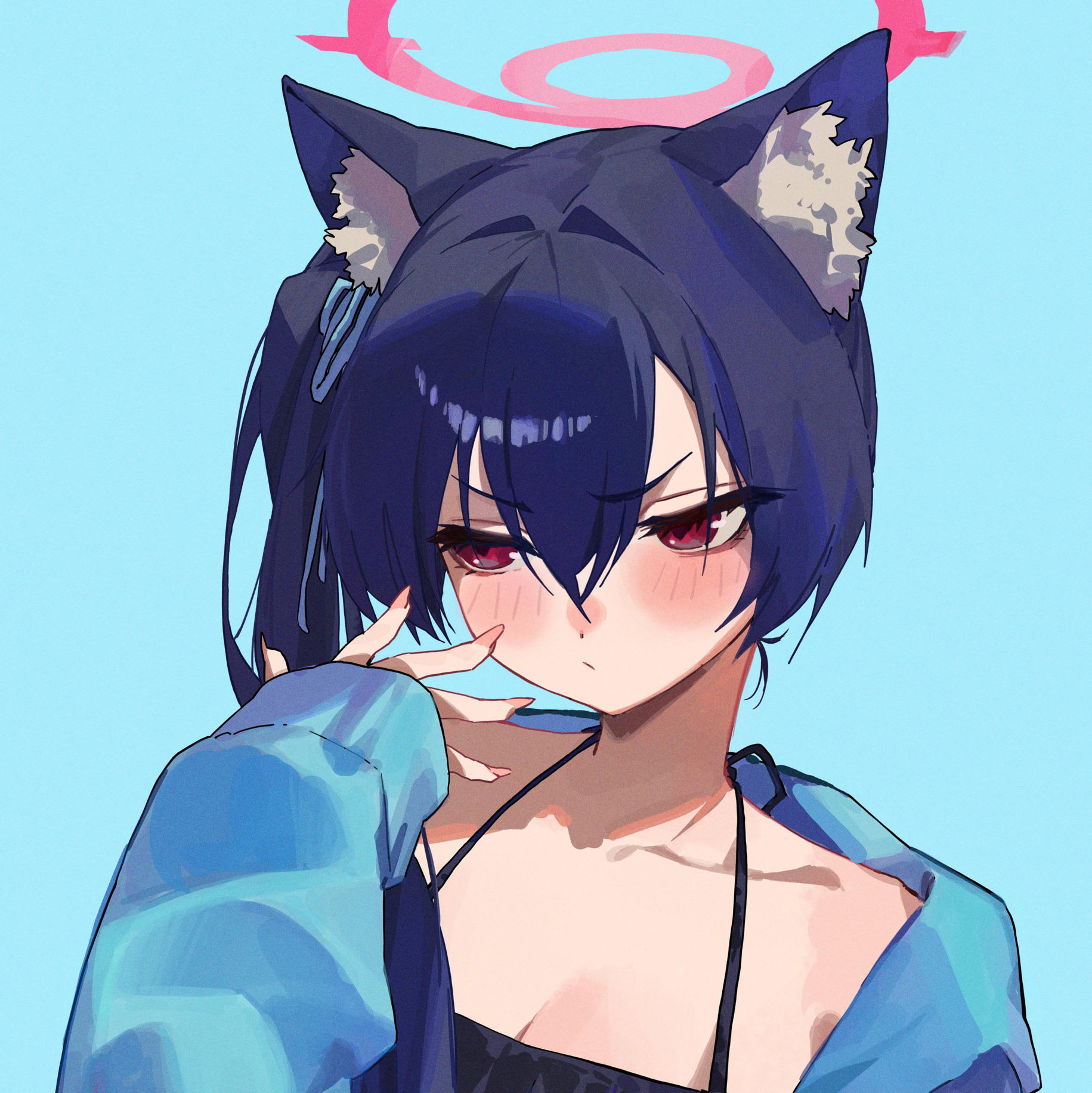 猫猫不哈气