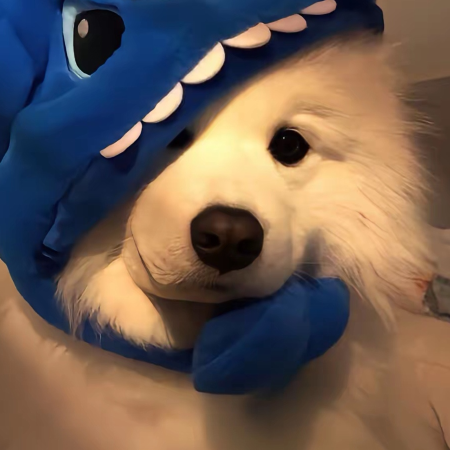 宝