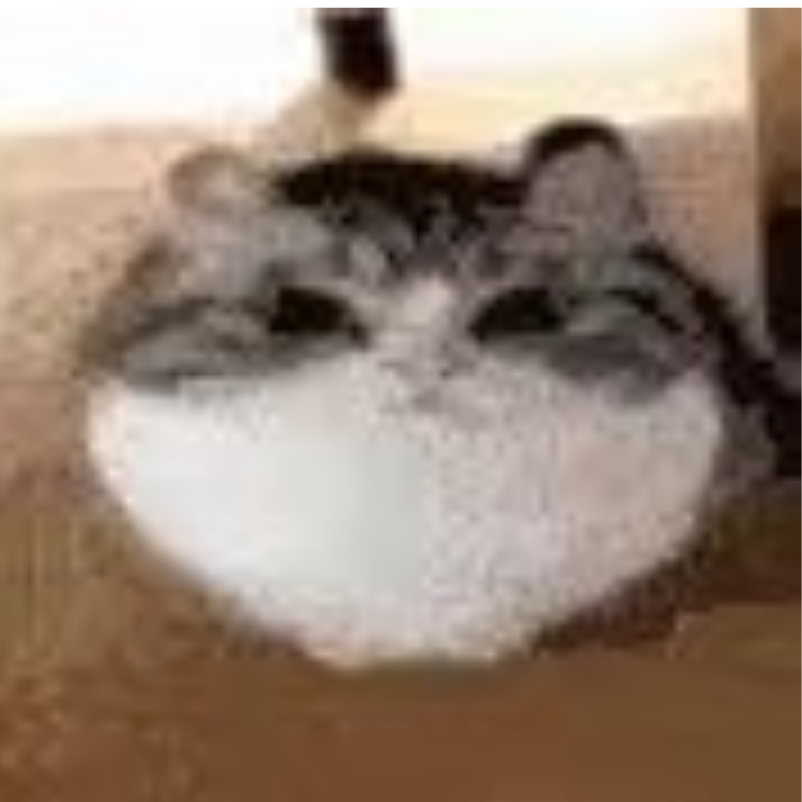 忍者注射器用户