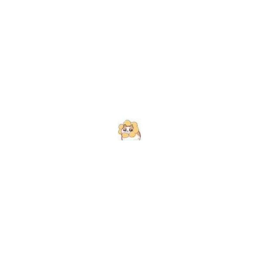 柚