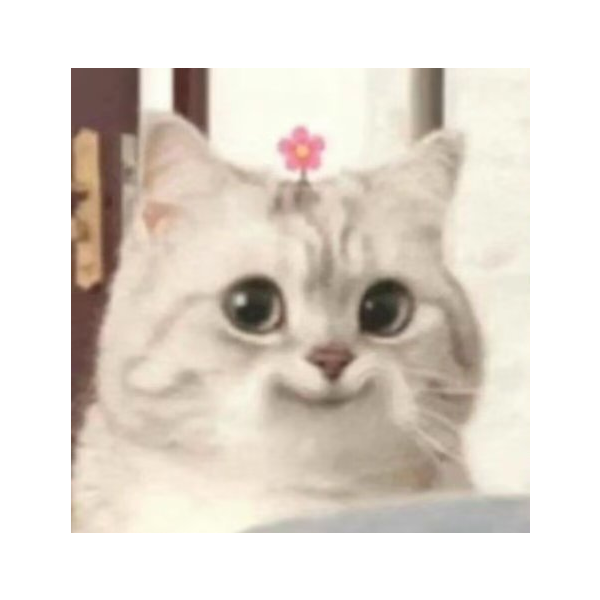 自律喵