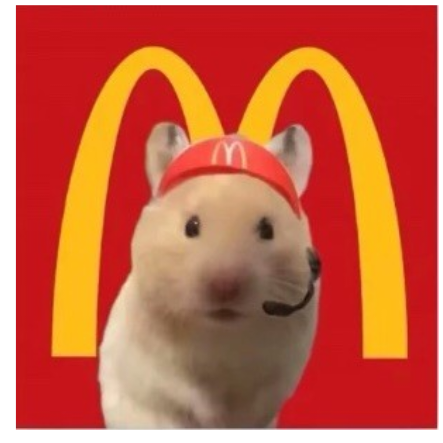 麦当劳的鼠仔
