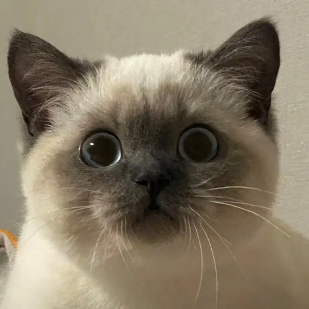 hey