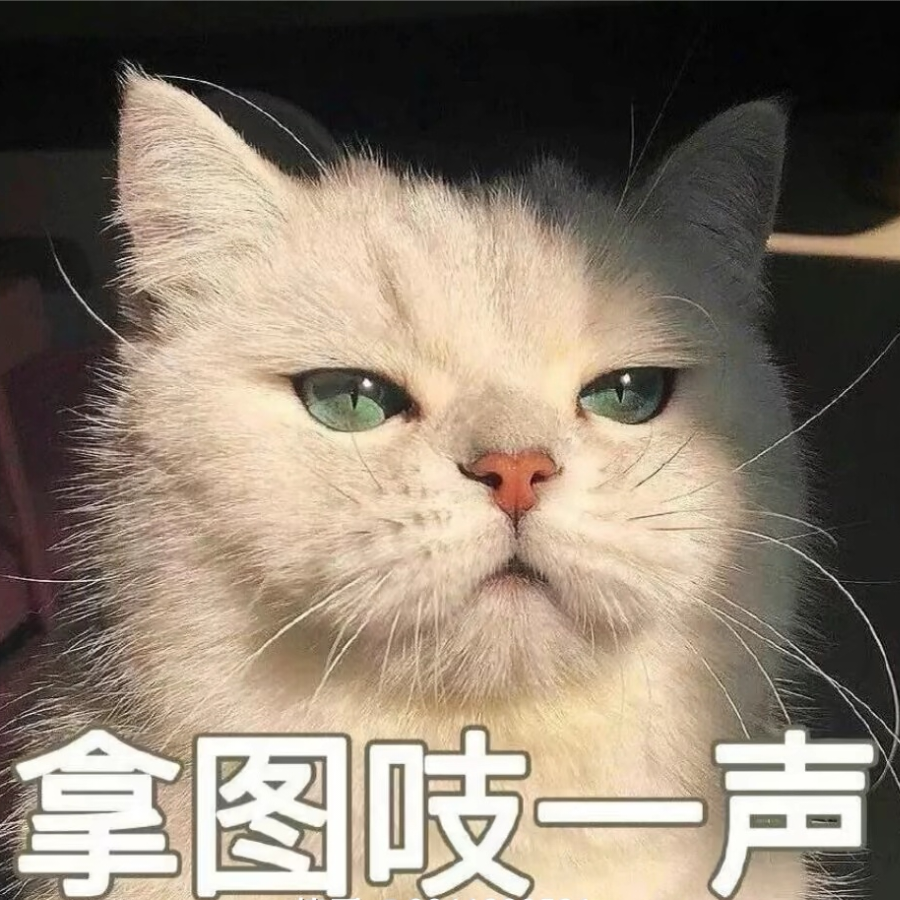 寻阳