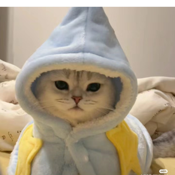 快乐的猫