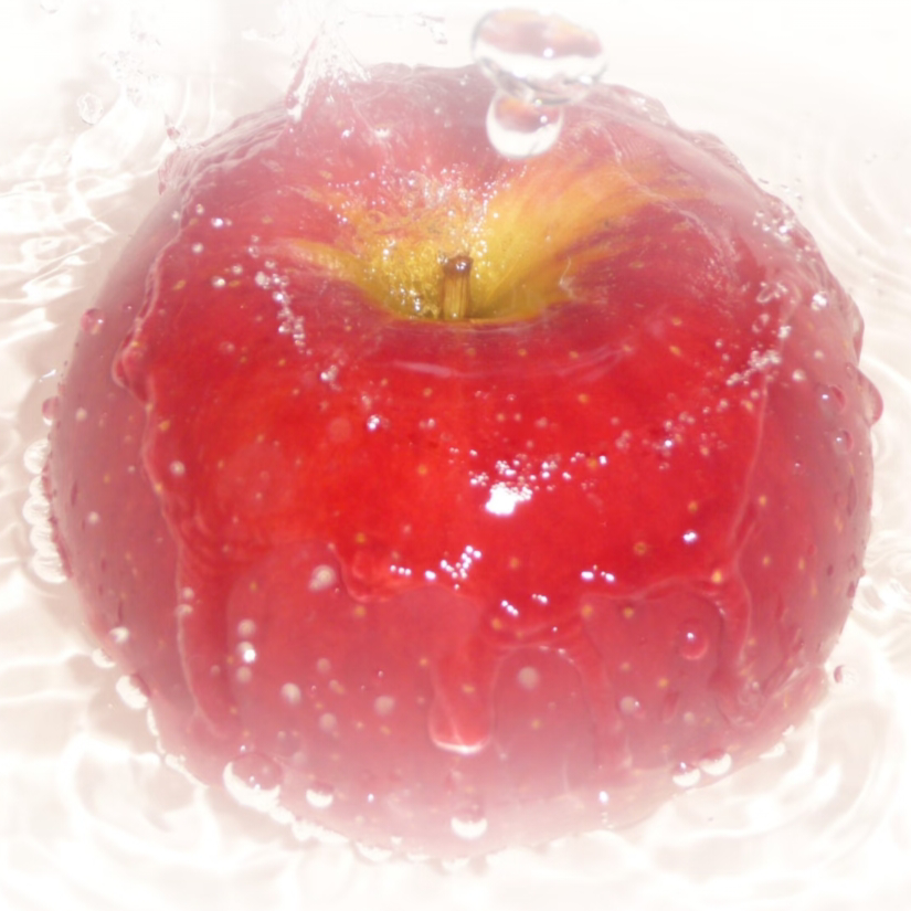 唔想同戆鳩讲嘢