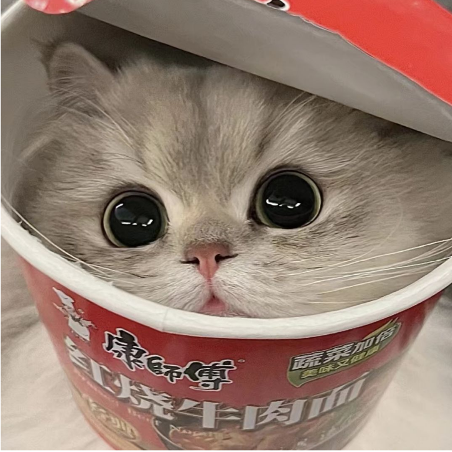 光军