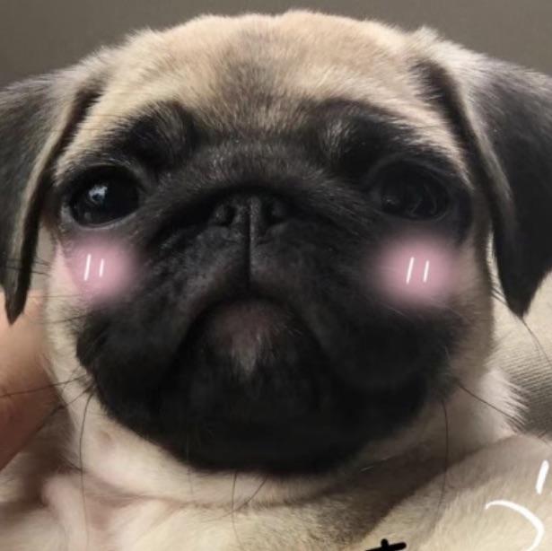 🍞毛毛虫芝士味🐛