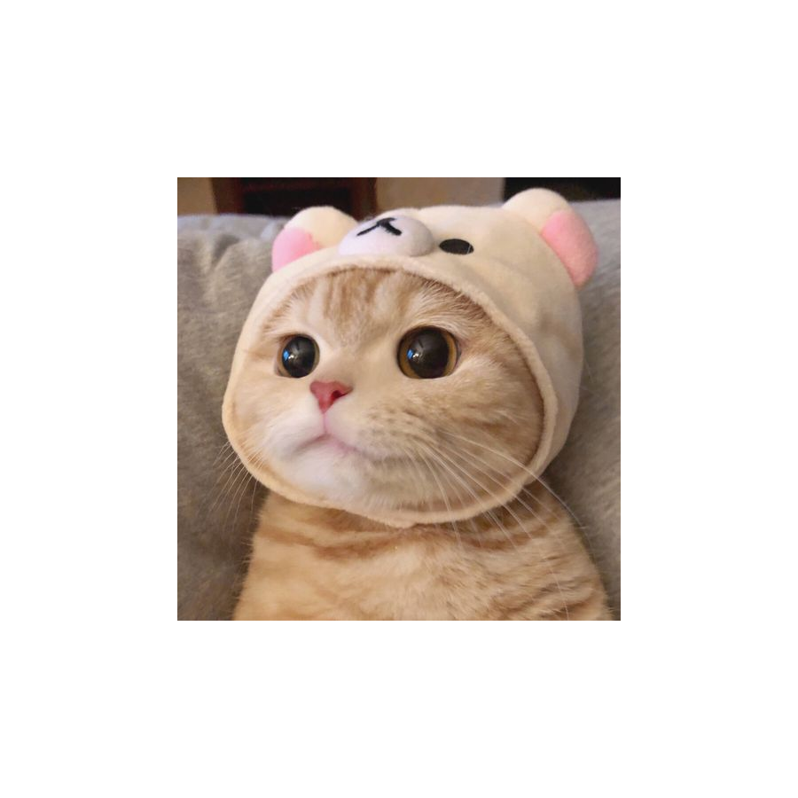 QAQ