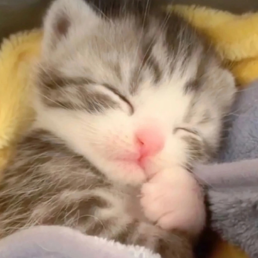 尾巴弱点攻击！